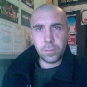 Сергей, 42 года, Плавск