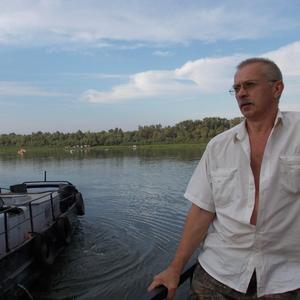 Геннадий Головин, 66 лет, Ногинск