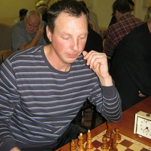 Михаил, 44 года, Архангельск