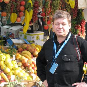 Владимир Ястребов, 70 лет, Сургут