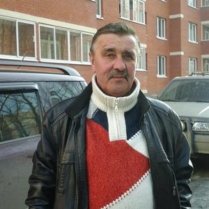 Николай Орехов, 66 лет, Рязань