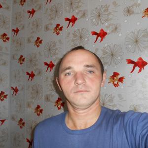 Дммтрий, 42 года, Архангельск