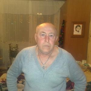 Владимир, 66 лет, Камышин