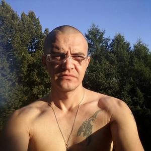 Сергей, 40 лет, Михайловка