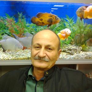 Arif, 68 лет, Армавир