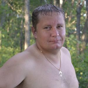 Андрей, 43 года, Чудово