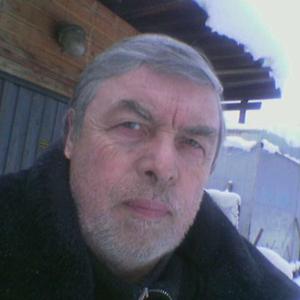 Владимир, 74 года, Архангельск